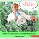 Он опять улетел...
