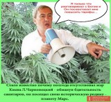 Он опять улетел...