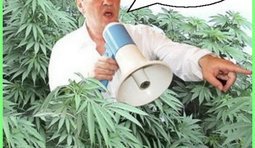 Он опять улетел...