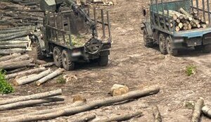 Годами "зарабатывали" миллионы на теневой продаже древесины: раскрыта преступная организация, 12 лицам объявлено о подозрении, - Нацполиция. ФОТОРЕПОРТАЖ