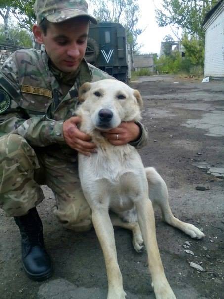 ато звери