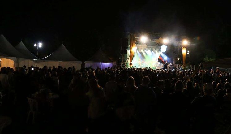 Ukrainian culture festival held in Canadian Montreal. PHOTOS