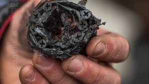 На ул.Грушевского, где находилась милиция, нашли "вещдок для Гааги" - остатки гранаты с саморезами. ФОТО