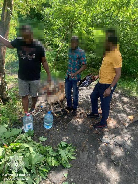 Іноземці зарізали і засмажили козу у львівському парку 02