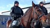 Вибори-2019: поліція перейшла на посилений режим несення служби, для забезпечення правопорядку залучать 72,4 тис. правоохоронців