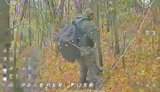 Дронарі 225 полку ліквідували десять окупантів поблизу Костянтинівки на Донеччині
