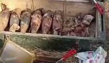 війна