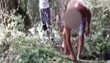 "Шо тут у вас? Розкажіть", - "Я первый раз вижу это все", - правоохранители задержали владельца плантации конопли в Винницкой области. ВИДЕО