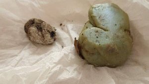 Під час шкільної лінійки у Львові в польського дипломата влучили камінцем
