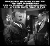 Крыса