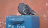 пошта/рф