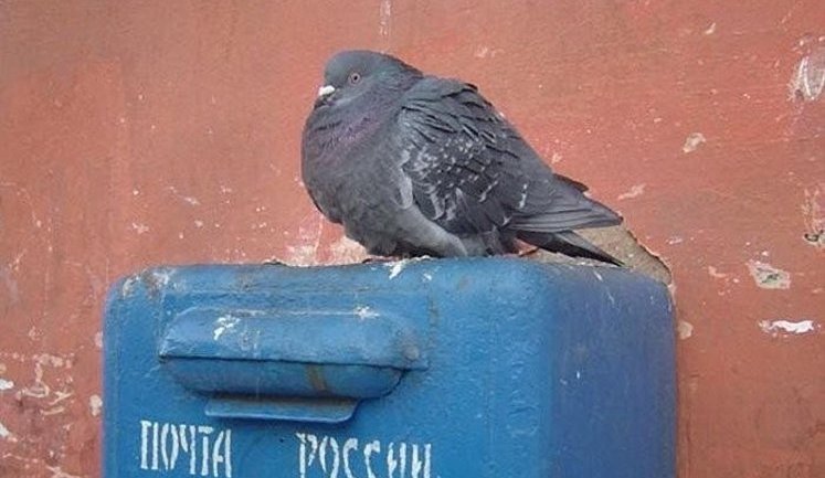 Від швидкої доставки до зростання цін: як Росія рятуватиме держпошту за рахунок бізнесу