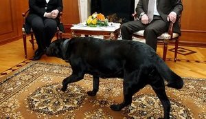 Горький Вова