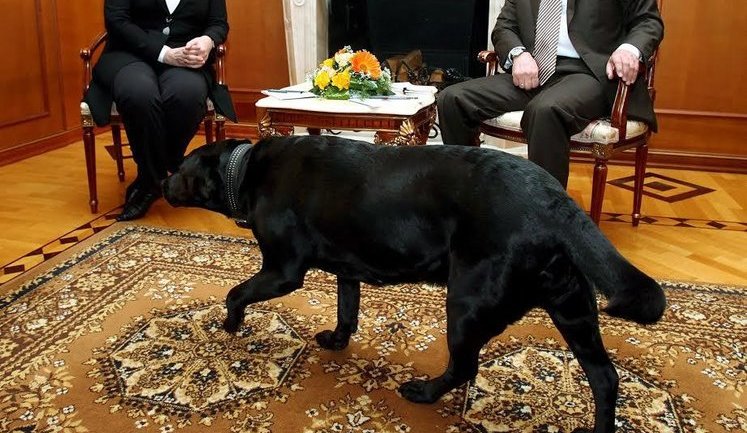 Горький Вова