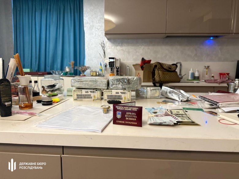 збагачення посадовиці Держекоінспекції