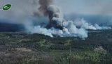 на чернігівщині через обстріл горить ліс