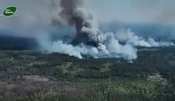 на чернігівщині через обстріл горить ліс