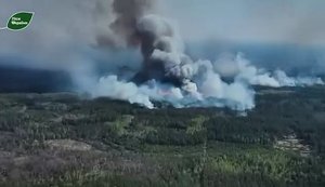 на чернігівщині через обстріл горить ліс