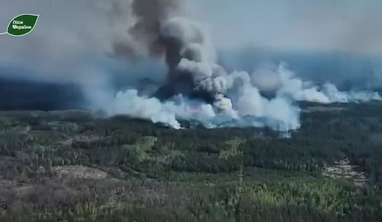 на чернігівщині через обстріл горить ліс