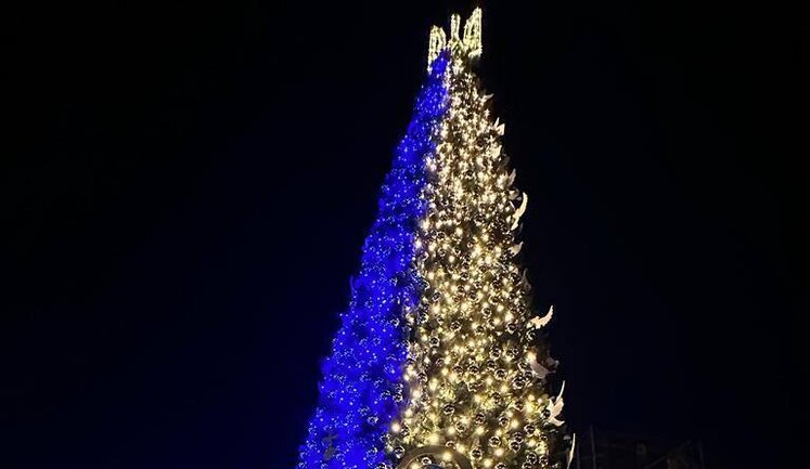 In Kyiv, "Tree of Invincibility" was lit on Sofia Square
