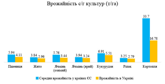 Цензор.НЕТ Зображення