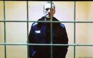олексій,навальний