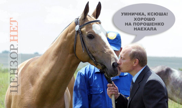 Зачет!