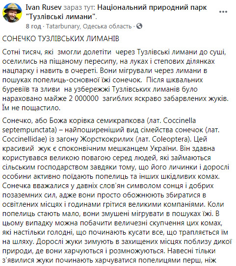 В национальном парке на Одесчине погибли почти 2 млн божьих коровок: Им не повезло. Это природа и круговорот в биосфере 07