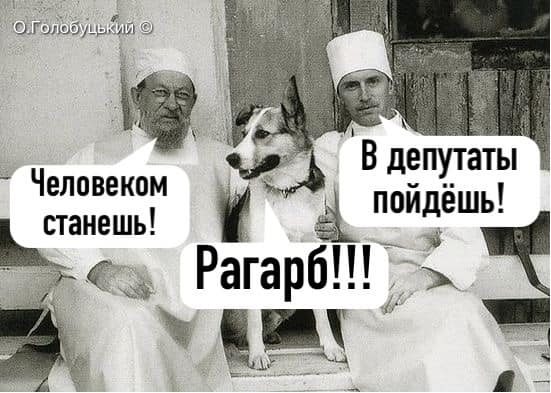 Прощай, Шарик... Пришли из облгаза! Мудрый совет Слуги народа в ФОТОжабах 09