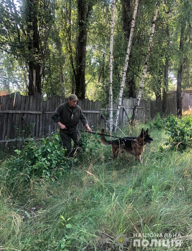Под завалами кирпича в заброшенном доме на Житомирщине нашли тело пропавшего подростка, - полиция 03