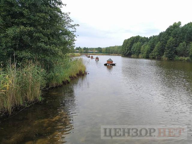Hunting home of fugitive president Yanukovych: trophy from Lukashenko and guards shooting club 07 Hunting home of fugitive president Yanukovych: trophy from Lukashenko and guards shooting club 07
