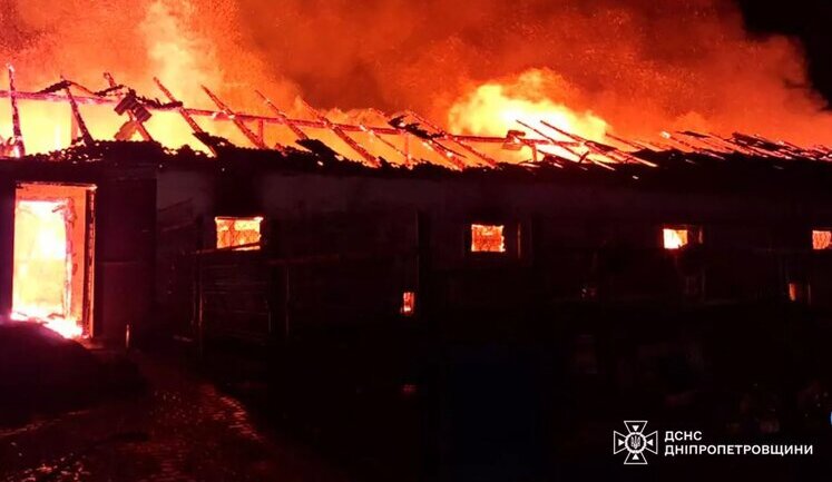 На Дніпропетровщині горіла конеферма, загинуло понад 140 тварин. ФОТО