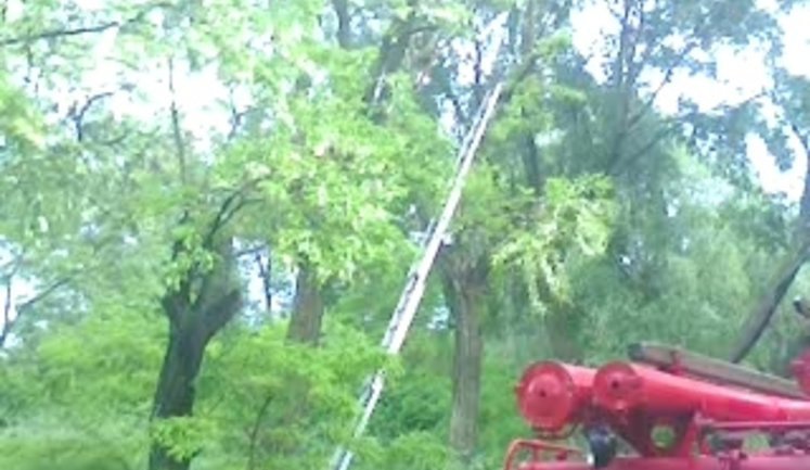 Рятувальники на Полтавщині зняли з дерева загиблого кайтсерфінгіста. ФОТО