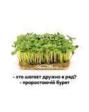 Проростаючий бурят
