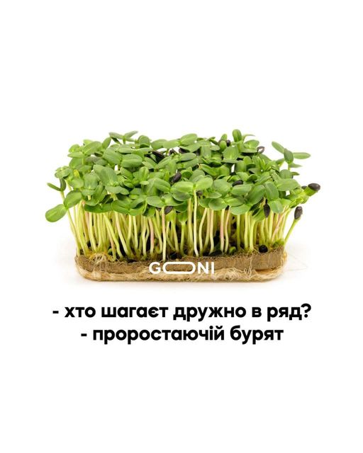 A preventive attack on liver, a frog from Moscow swamps, a novelty of Russian cuisine. Fresh memes from Censor.NET 11