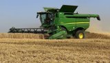 Попри постійні обстріли аграрії Донеччини вже обмолотили 60% площ ранніх зернових