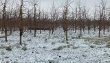 молдова,ракета