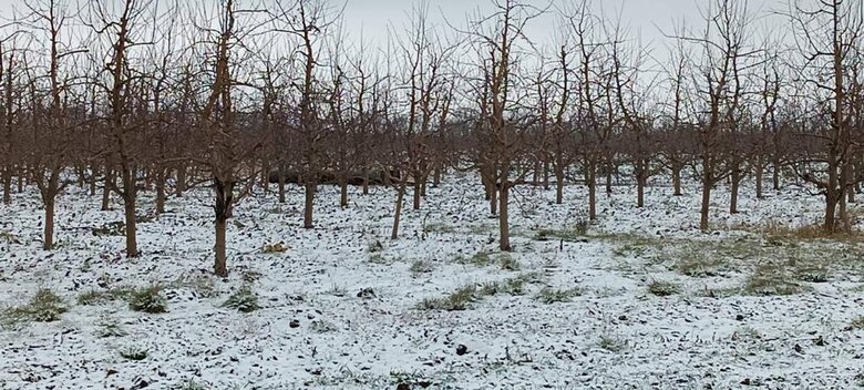 На территорию Молдовы возле границы с Украиной упала ракета 02 На территорию Молдовы возле границы с Украиной упала ракета 02