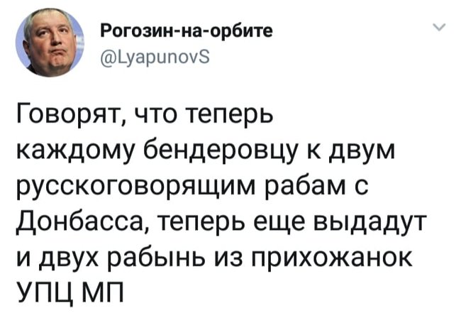 Церковь строгого режима. Самоизоляция РПЦ в ФОТОжабах. 08