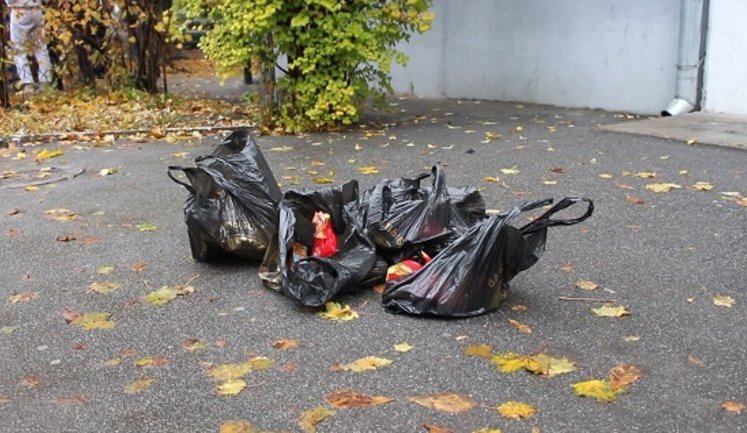 Canvassers-bribers detained in Kyiv. PHOTOS+VIDEO