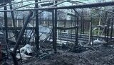 дніпропетровщина,нікопольщина