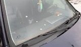 Поліція кваліфікувала як хуліганство стрілянину по машині працівників передвиборчого штабу Гриценка