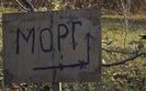 Смертность от COVID-19 в Украине ниже средних показателей в Европе, - Ляшко