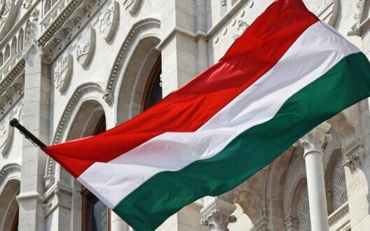 Man who has been fighting on side of Ukraine in war against Russia for over year will be tried in Hungary