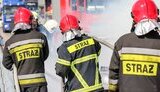 У Польщі на військовому полігоні спалахнула пожежа