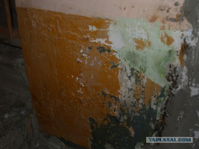 жилье ремонт