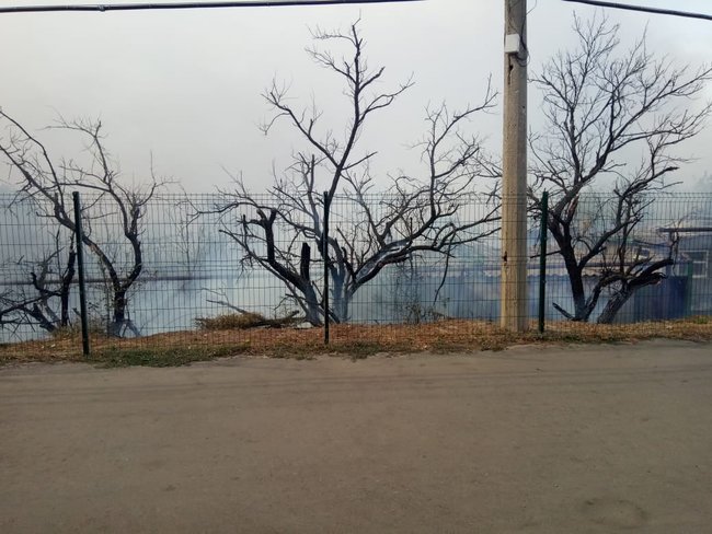 Пожежі на Луганщині: вогонь перекинувся на КПВВ Станиця Луганська, чути вибухи боєприпасів 04 Пожежі на Луганщині: вогонь перекинувся на КПВВ Станиця Луганська, чути вибухи боєприпасів 04