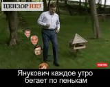 Янукович и пеньки