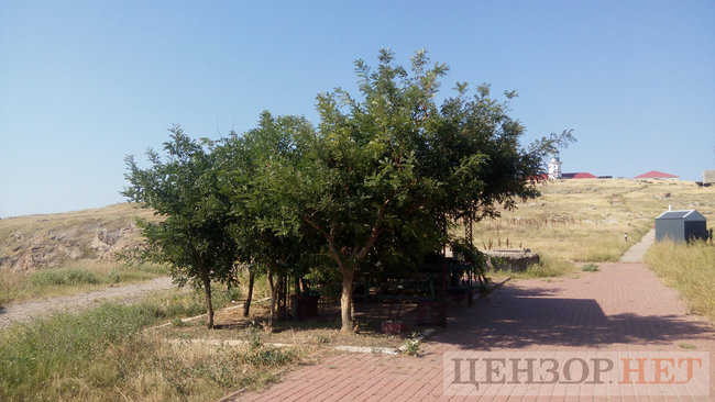 Стародавній маяк, гори мідій і найчистіше в Україні море: життя острова Зміїного 20 Стародавній маяк, гори мідій і найчистіше в Україні море: життя острова Зміїного 20