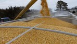 Україна вивезла третину необхідного обсягу агропродукції альтернативними маршрутами